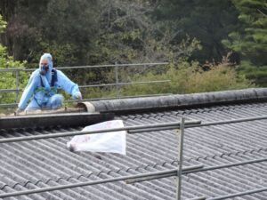 specialised asbestos roof removal